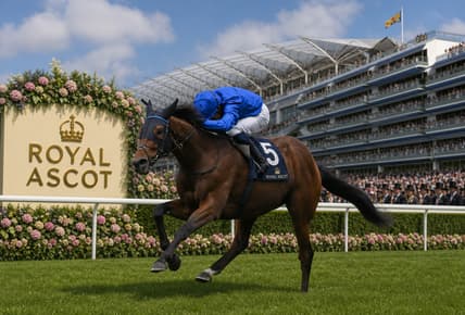 Trawlerman Ascot Gold Cup 2026