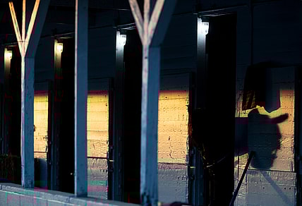 The rising sun casts a shadow of a horse's head in Steve Margolis' barn on the backside of Churchill Downs. April 24, 2022

Af5i4033