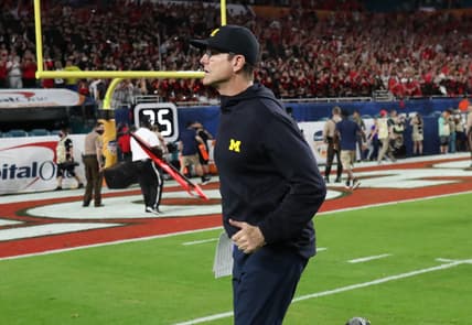 Jim Harbaugh, NFL return