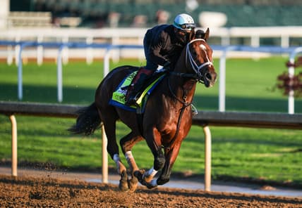 kentucky derby
