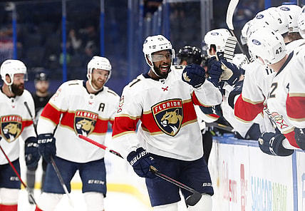 Apr 17, 2021; Tampa, Florida, USA; Florida Panthers left wing Anthony Duclair (91) is congratulated as he scores a goal against the Tampa Bay Lightning during the third period at Amalie Arena. Mandatory Credit: Kim Klement-USA TODAY Sports