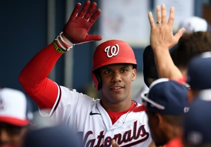 Washington Nationals outfielder Juan Soto