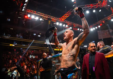 ufc light heavyweight rankings