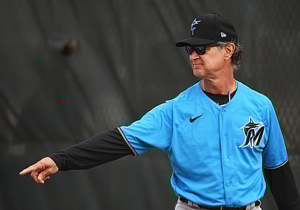 Don Mattingly, Mike Fiers