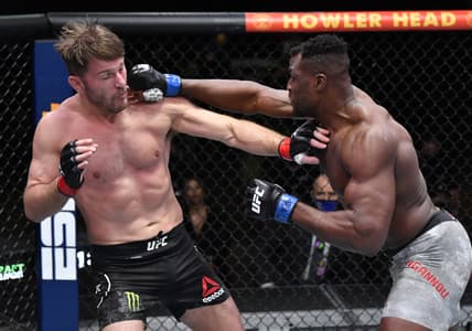 UFC digital trading cards will spark next wave of NFT craze