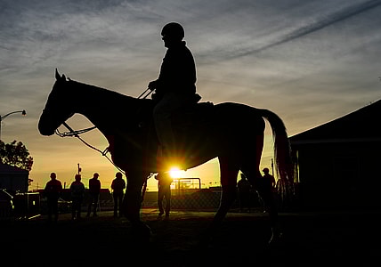 kentucky derby horses