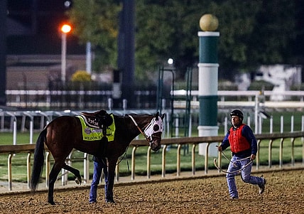 An outrider rushes to help Kentucky Derby horse Wild On Ice, as the gelding holds his left hind leg up after pulling up while galloping  during a morning workout Thursday April 27, 2023 at Churchill Downs in Louisville, Ky.

Kentucky Derby 2023 Horses Wild On Ice
