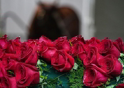 The blanket of roses is laid out in front of the stall of Mage on Sunday, May 7, 2023 at Churchill Downs in Louisville.