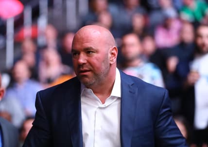 dana white, canelo alvarez