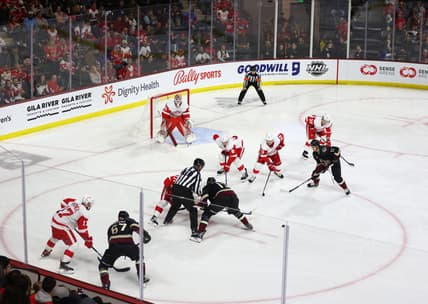 NHL: Detroit Red Wings at Arizona Coyotes