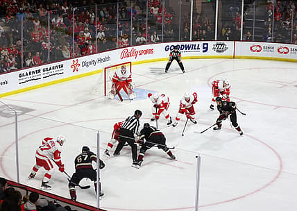 NHL: Detroit Red Wings at Arizona Coyotes