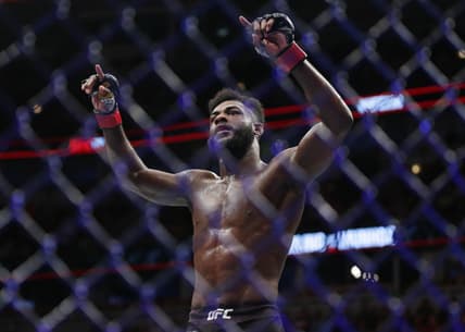 Aljamain Sterling UFC 250
