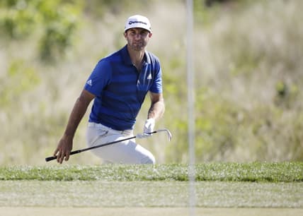 Dustin Johnson