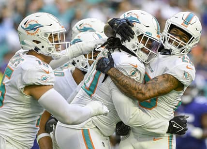 Miami Dolphins