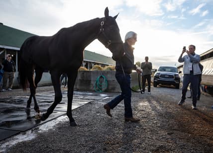 Bob Baffert shown with Medina Spirit following the Kentucky Derby in May.