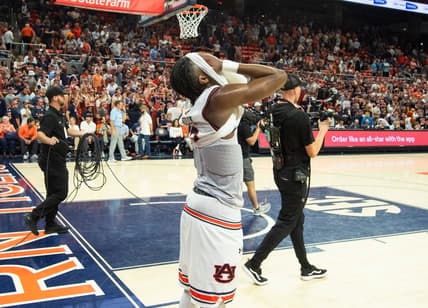 Auburn Tigers