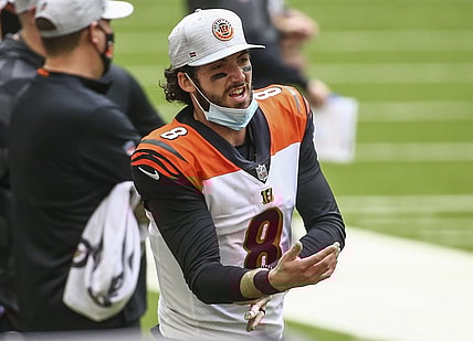 Dec 27, 2020; Houston, Texas, USA; Cincinnati Bengals quarterback Brandon Allen (8) reacts on the sideline during the fourth quarter against the Houston Texans at NRG Stadium. Mandatory Credit: Troy Taormina-USA TODAY Sports