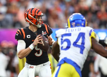 Cincinnati Bengals