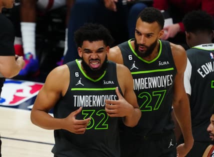 minnesota timberwolves