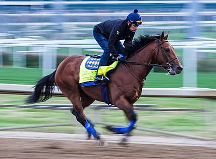 kentucky derby