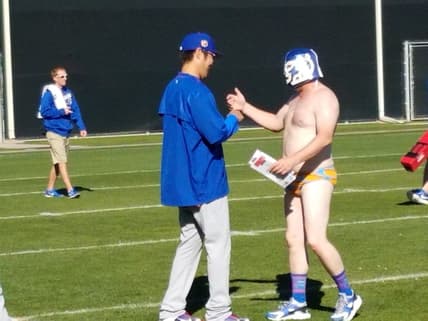 Cubs spring training