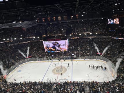 Vegas Golden Knights 4-3 win against the San Jose Sharks 11/29/2025
