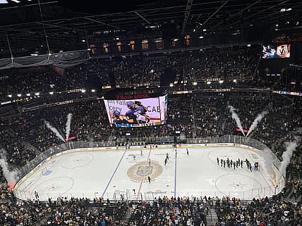 Vegas Golden Knights 4-3 win against the San Jose Sharks 11/29/2025