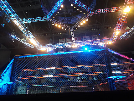 muhammad ali, biaggio ali-walsh