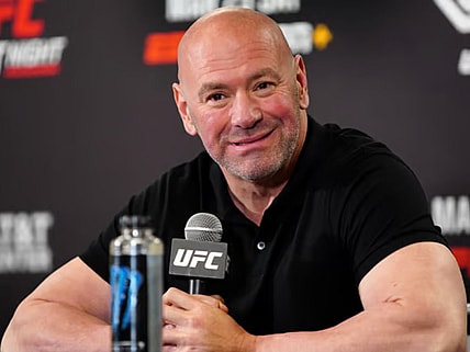 Who Owns The UFC USA Today News
