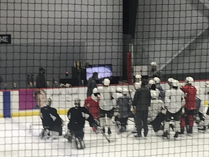Henderson Silver Knights training camp