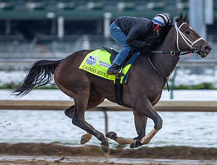 Kentucky Derby hopeful Caddo River gallops on the track at  Churchill Downs. April 21, 2020

Aj4t4250