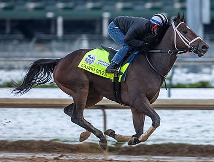 Kentucky Derby hopeful Caddo River gallops on the track at  Churchill Downs. April 21, 2020

Aj4t4250