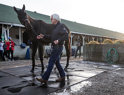 Bob Baffert brings Kentucky Derby winner Medina Spirit out for fans to see on the morning after the race. Medina Spirit is Baffert's seventh Kentucky Derby winner. May 2, 2021

Day after Kentucky Derby
