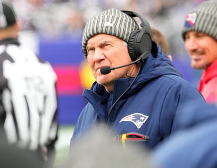 bill belichick