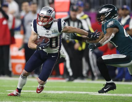 Patriots WR Danny Amendola, Bill Belichick