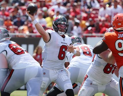 tampa bay buccaneers, nfc south