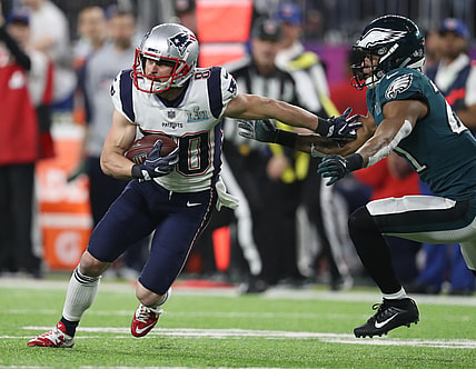 Patriots WR Danny Amendola, Bill Belichick