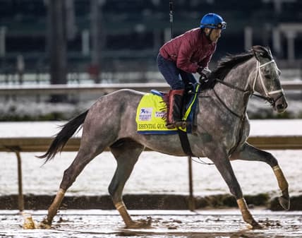 Kentucky Derby favorite Essential Quality gallops before dawn on the track at Churchill Downs. April 21, 2020

Af5i6154