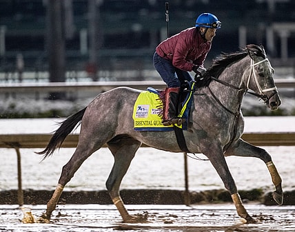 Kentucky Derby favorite Essential Quality gallops before dawn on the track at Churchill Downs. April 21, 2020

Af5i6154