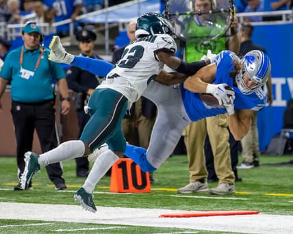 Detroit Lions