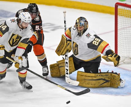 Apr 18, 2021; Anaheim, California, USA; Vegas Golden Knights goaltender Marc-Andre Fleury (29) defends the net as Vegas Golden Knights defenseman Nicolas Hague (14) knocks away a shot on goal by Anaheim Ducks center Adam Henrique (14) in the third period of the game at Honda Center. Mandatory Credit: Jayne Kamin-Oncea-USA TODAY Sports