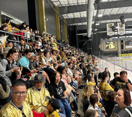Vegas Golden Knights