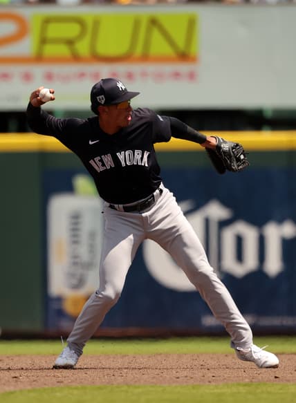 new york yankees