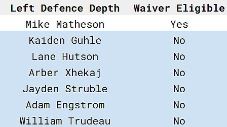 montreal canadiens defence left side depth