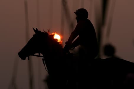 belmont stakes horses
