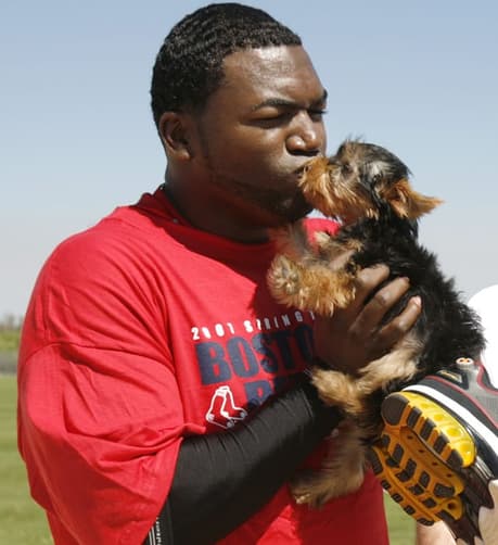 courtesy Sports Illustrated