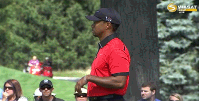 08-04-13-tiger-ball-toss
