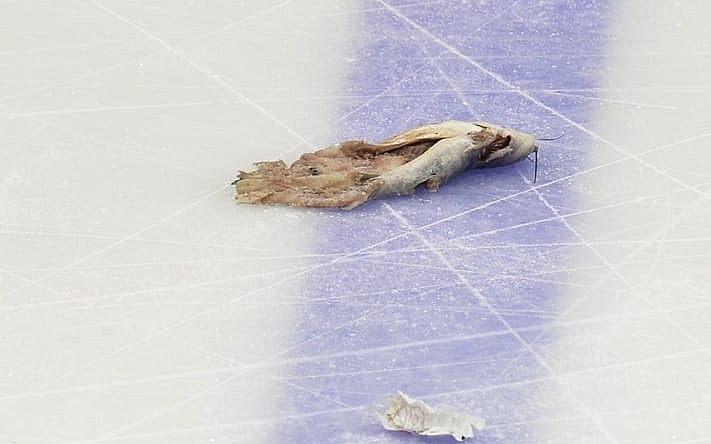 Jacob Waddell catfish Stanley Cup Final Game 1 Nashville Predators Pittsburgh Penguins