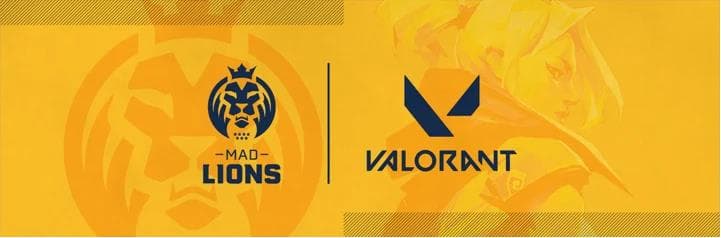OverActive Media has secured a NA Valorant Challengers League spot.