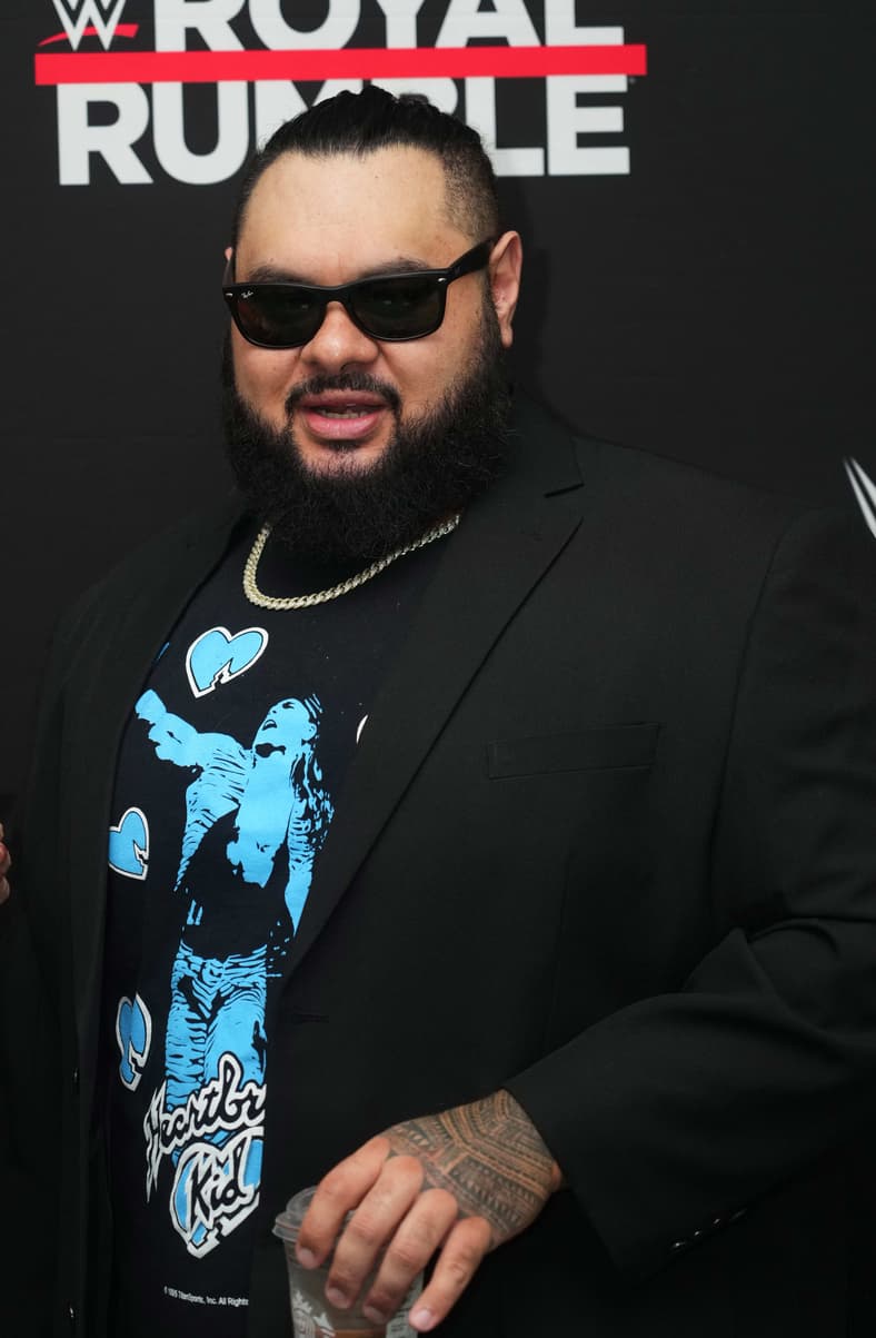 Wrestling: WWE Media Junket